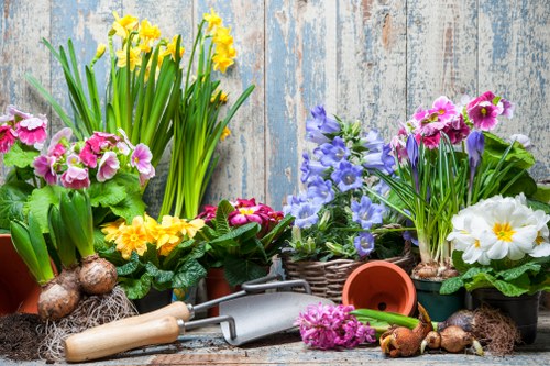Reliable gardener providing maintenance services in Alfords Point